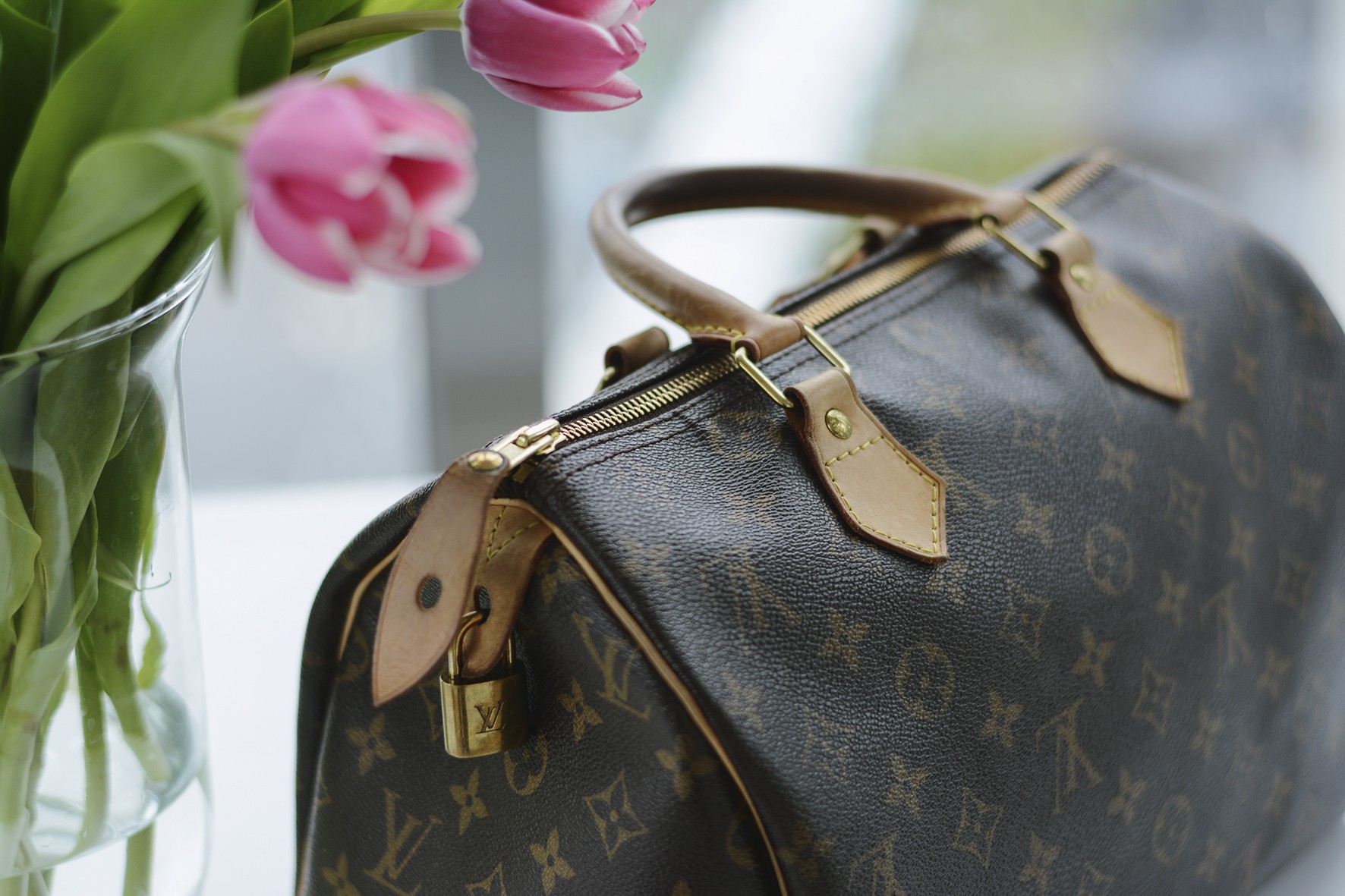 Louis Vuitton - który model warto kupić?